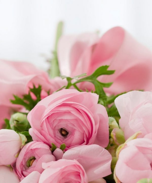 flowers-blog-img-9